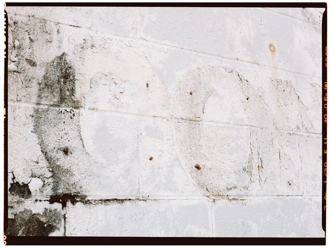 Structural Drying service in Holland, MI