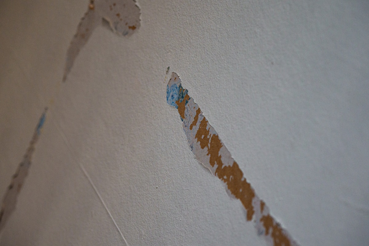 Storm Damage Repair service in Holland, MI