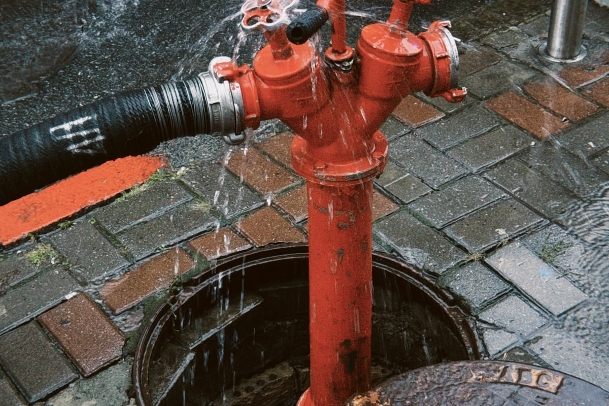 Mold Remediation service in Holland, MI